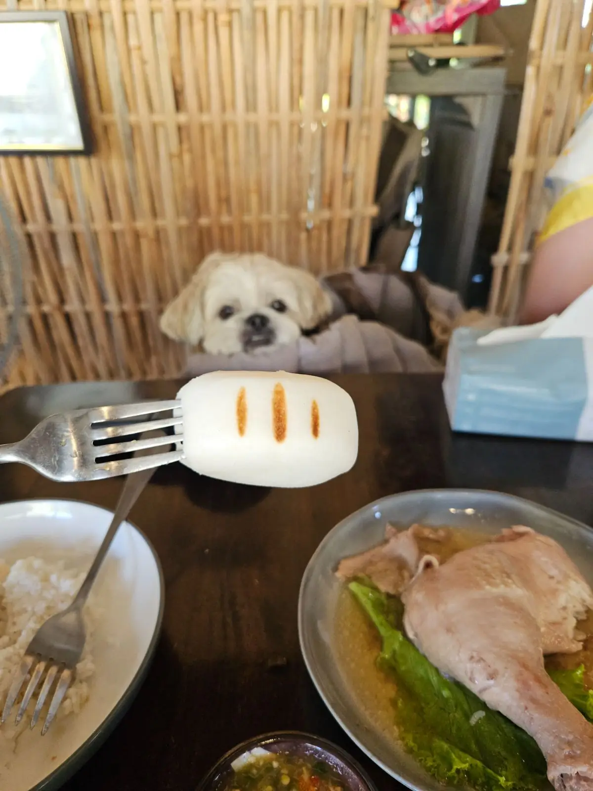 เชฟเต้บ้านไร่ pets image 3