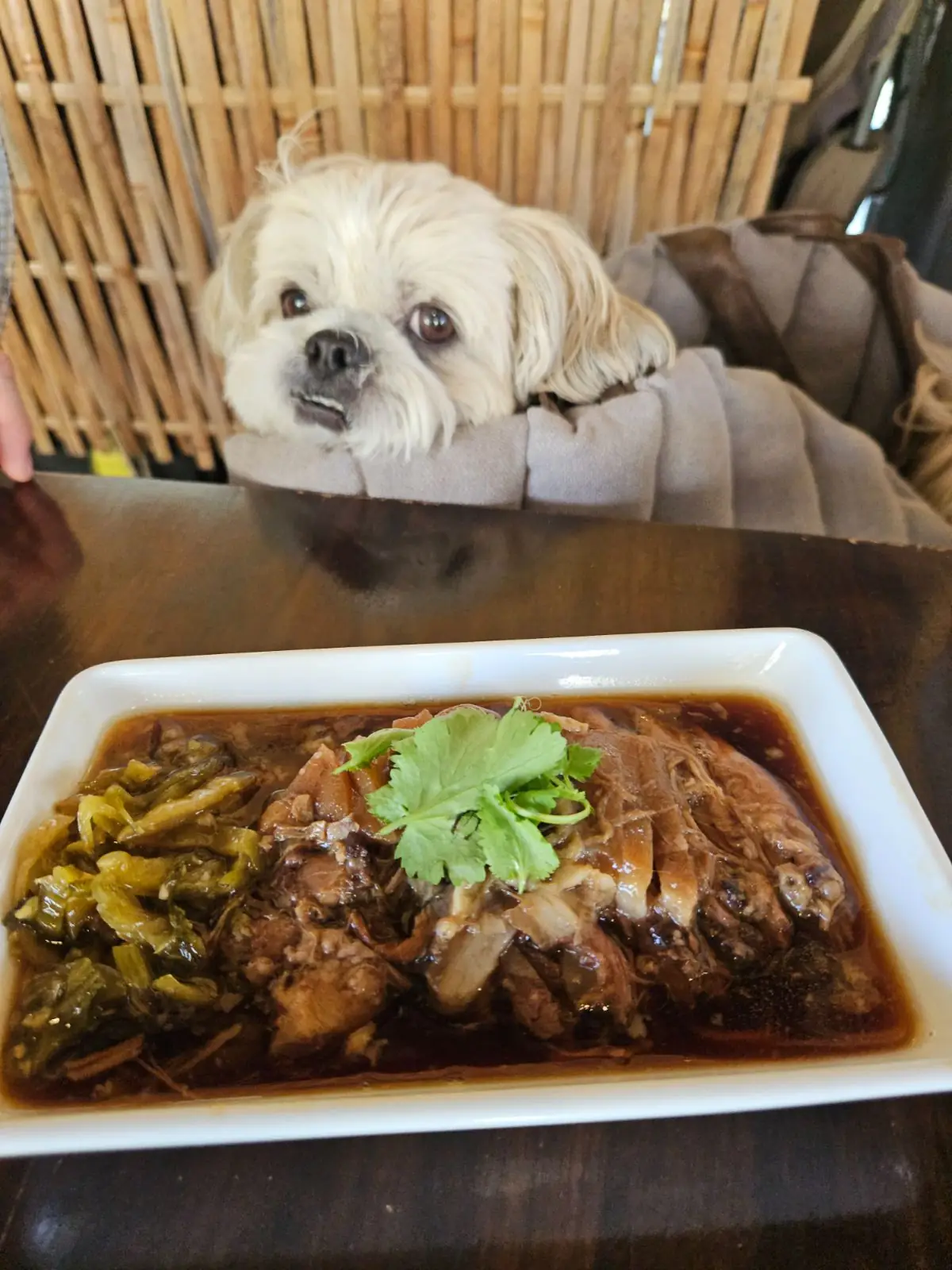 เชฟเต้บ้านไร่ pets image 1