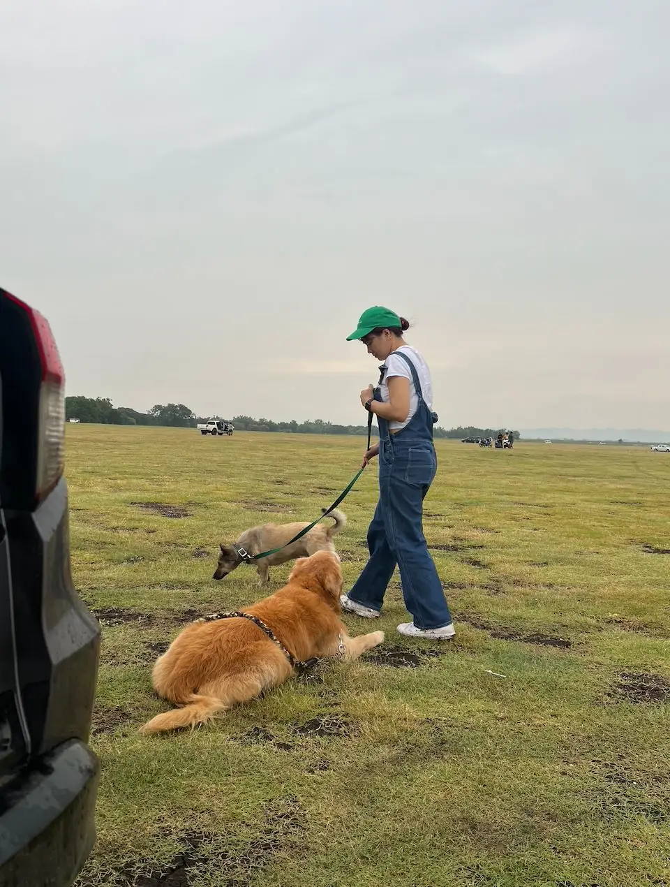 เขื่อนป่าสักชลสิทธิ์ pets image 1