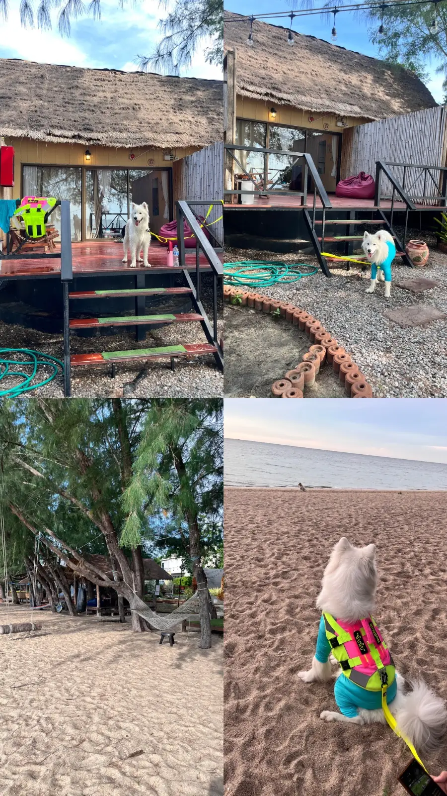 Mumsa Beach Resort & Restaurant amenities image 2