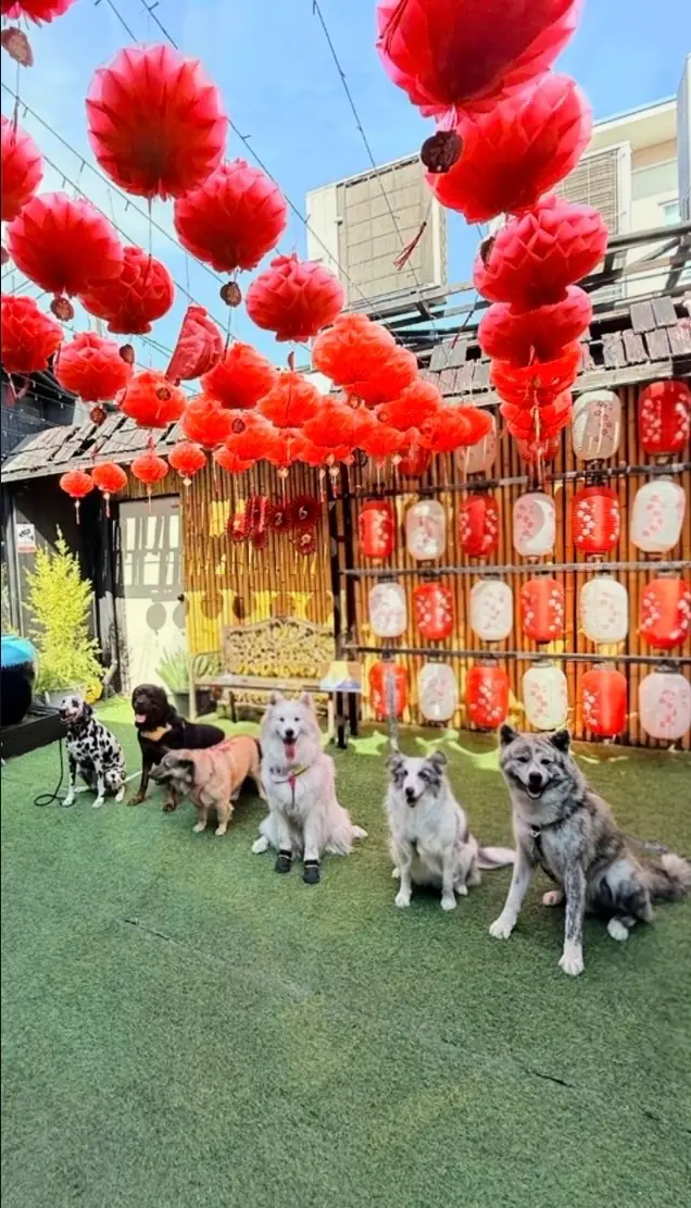 KO-YA overall image 3