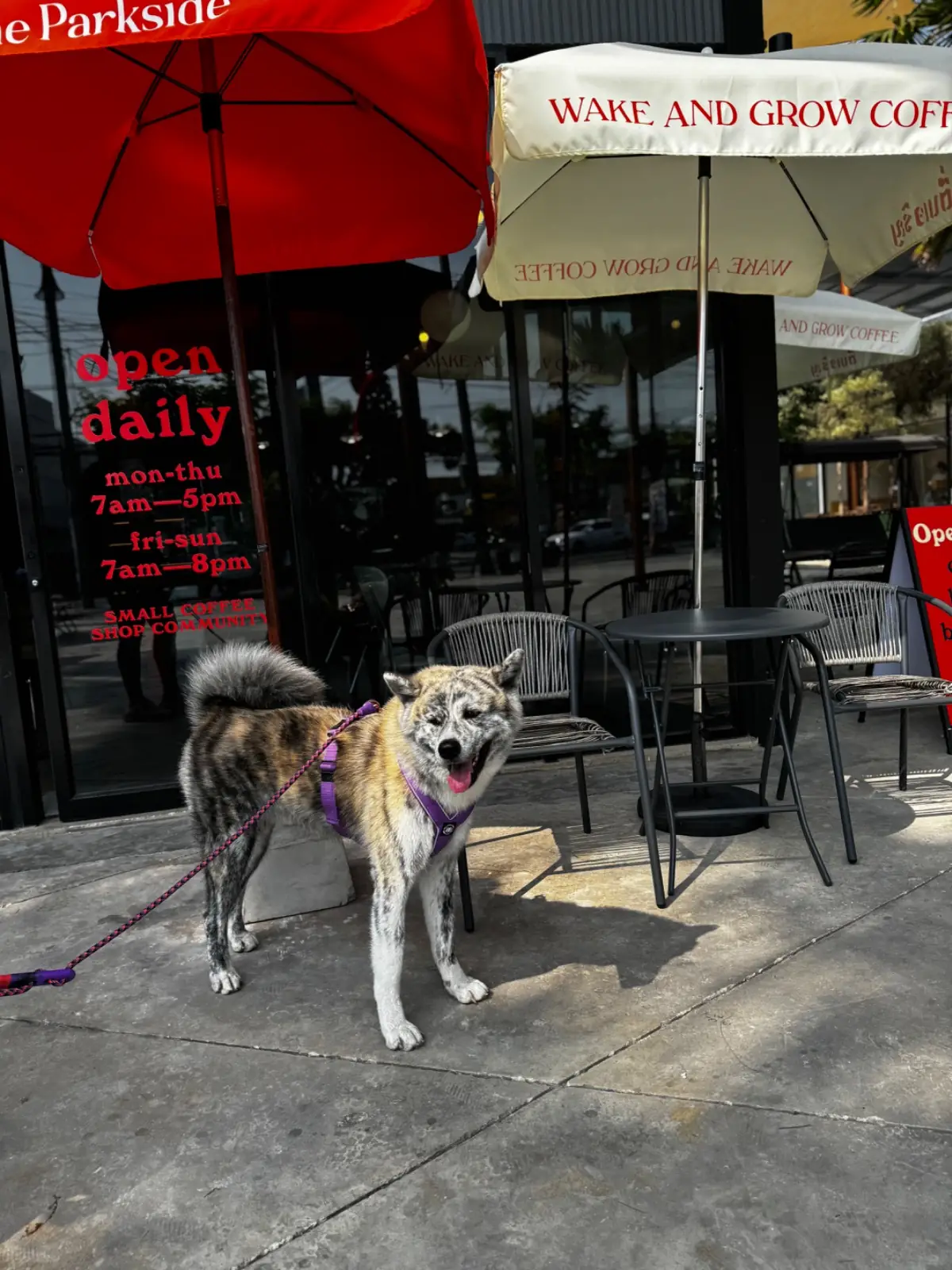 wake and grow coffee - Suanluang Rama IX pets image 1