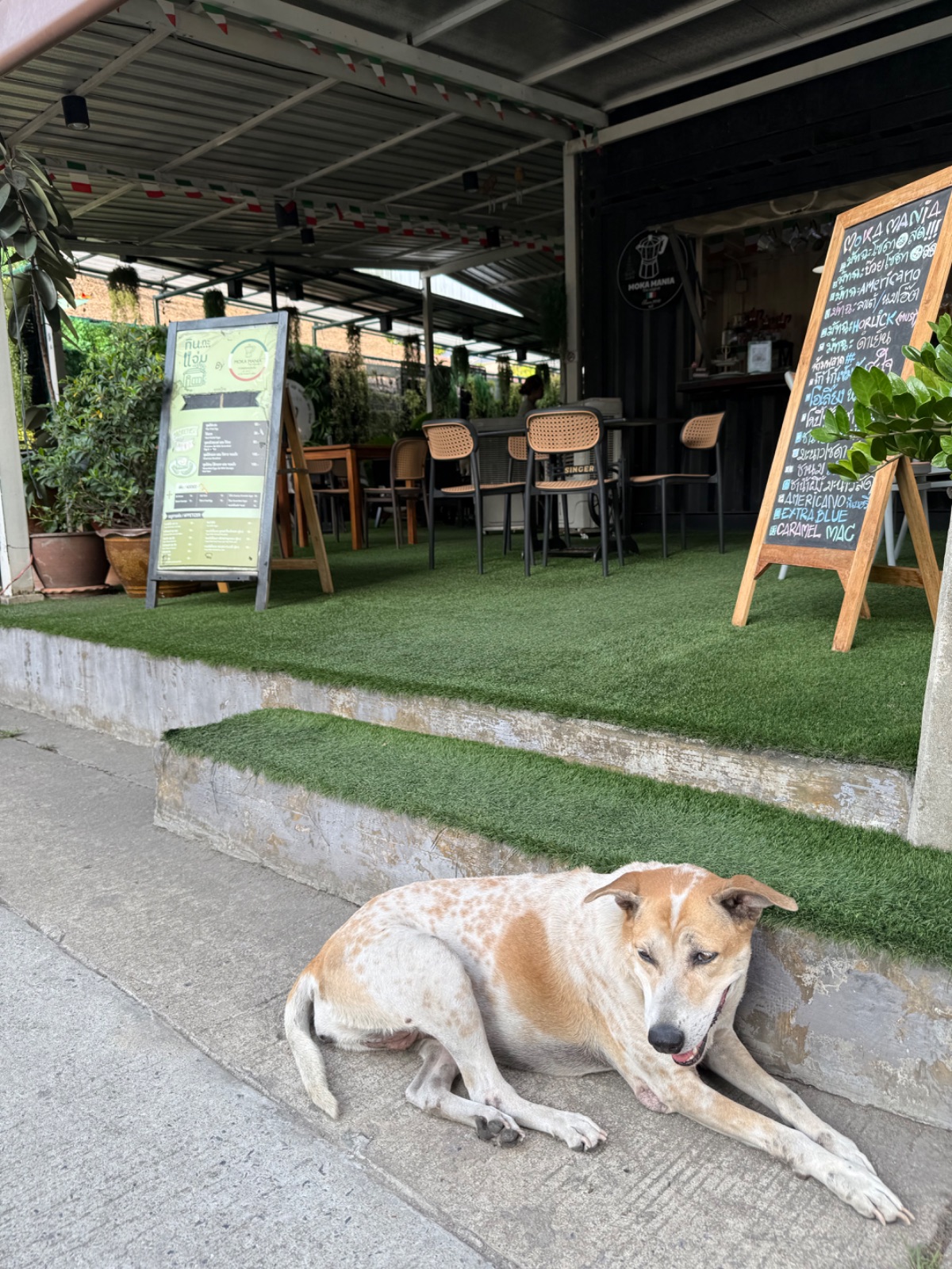 Moka Mania hero image 8