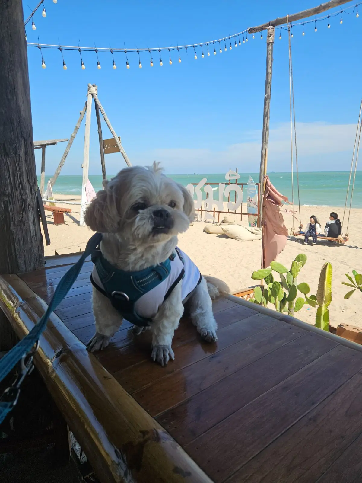 Chomview Seafood other image 1