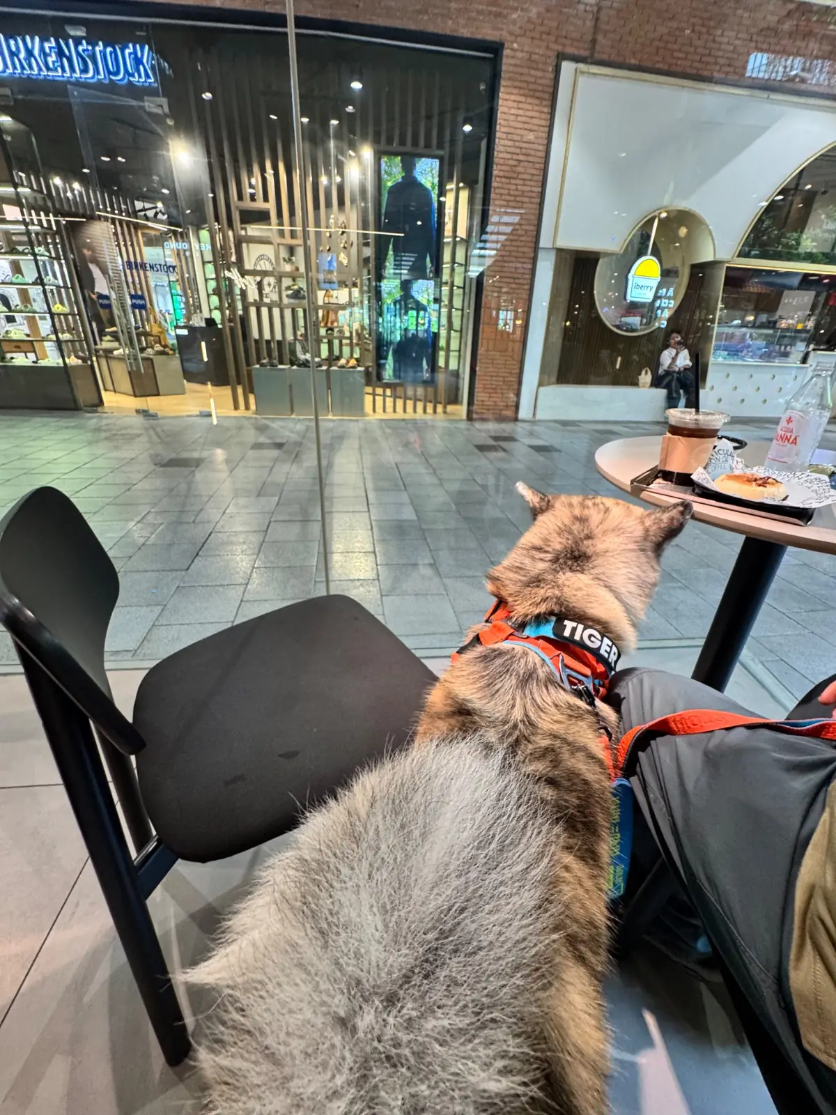 C.P.S. COFFEE - Central Eastville hero image 2