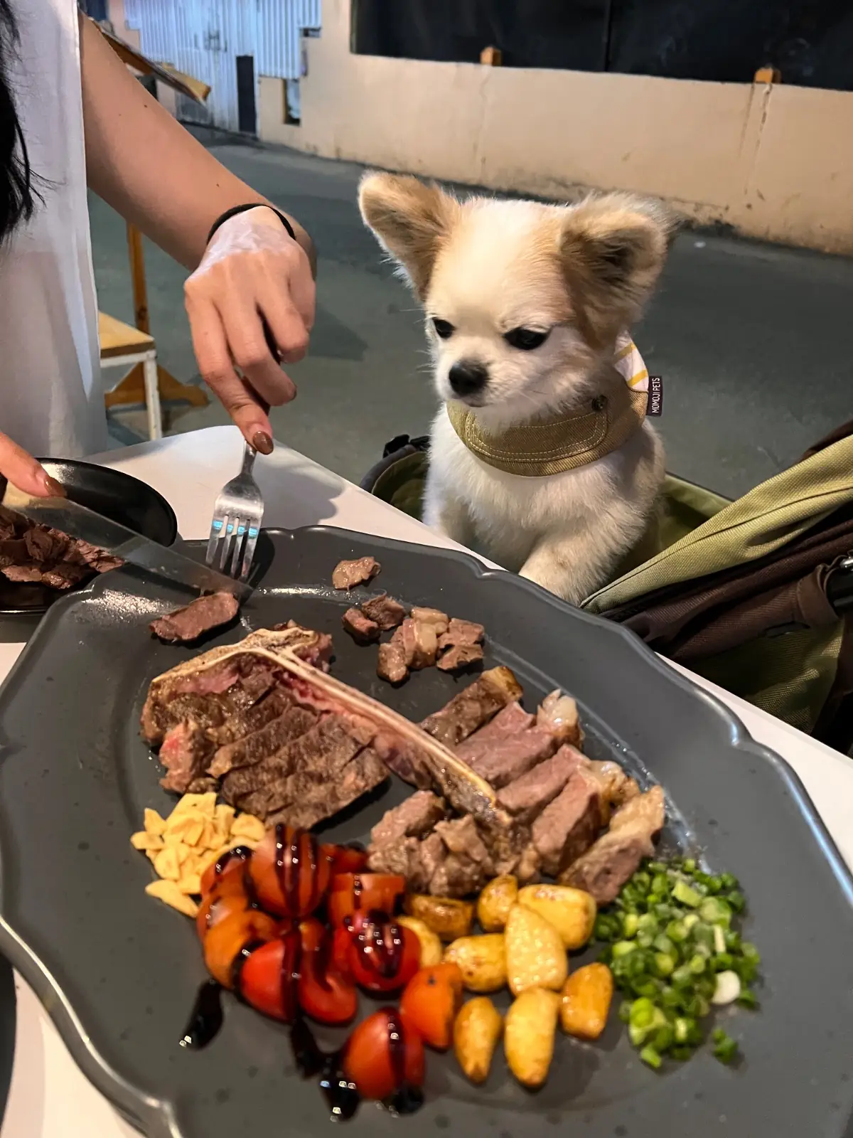 Rosyiam Bar pets image 1