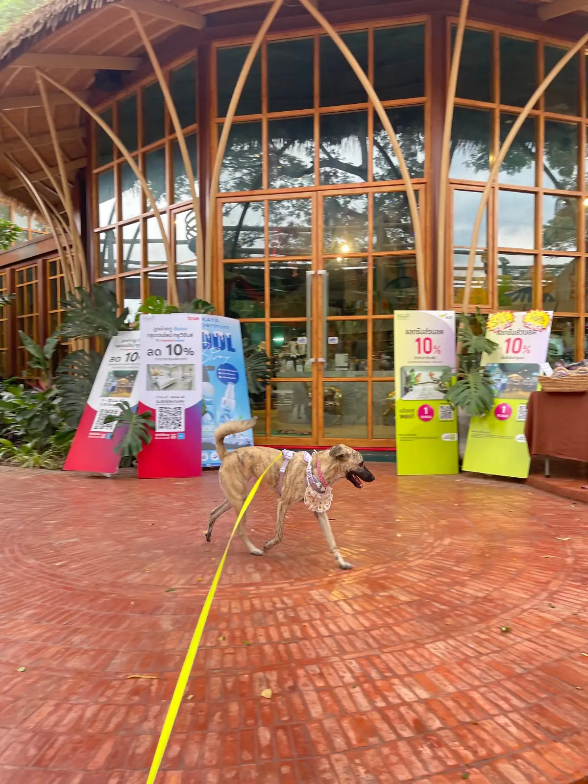 The Journey Cafe & Restaurant pets image 1