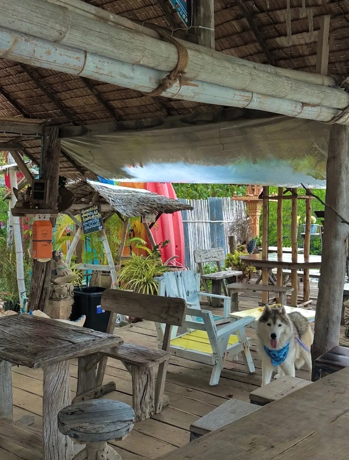 ร้านแฟ กัน ป๊ะ pets image 2