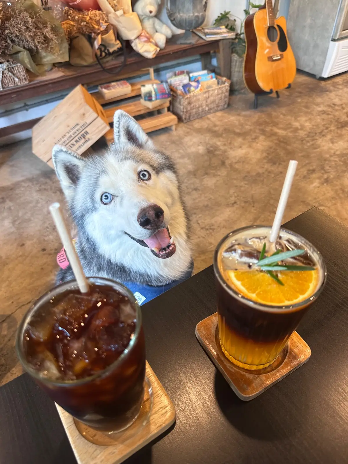 Poet House Cafe pets image 5