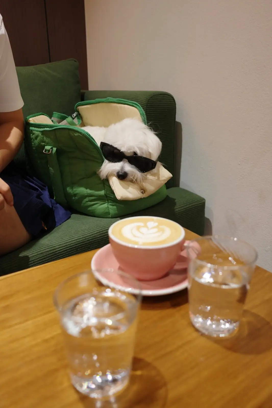 Slurp Coffee pets image 1