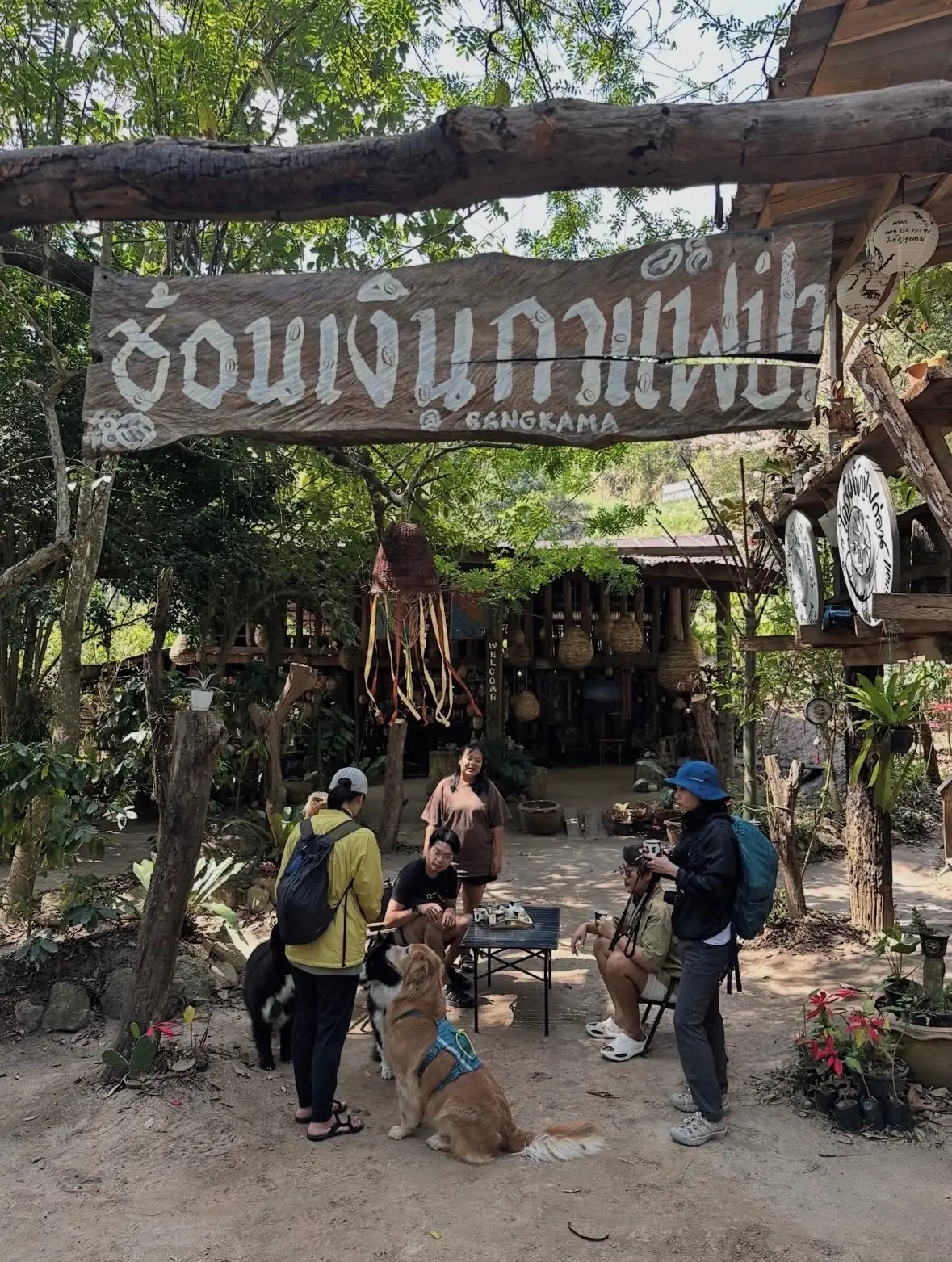 บ้านไม้ไผ่ บางกะม่า pets image 2