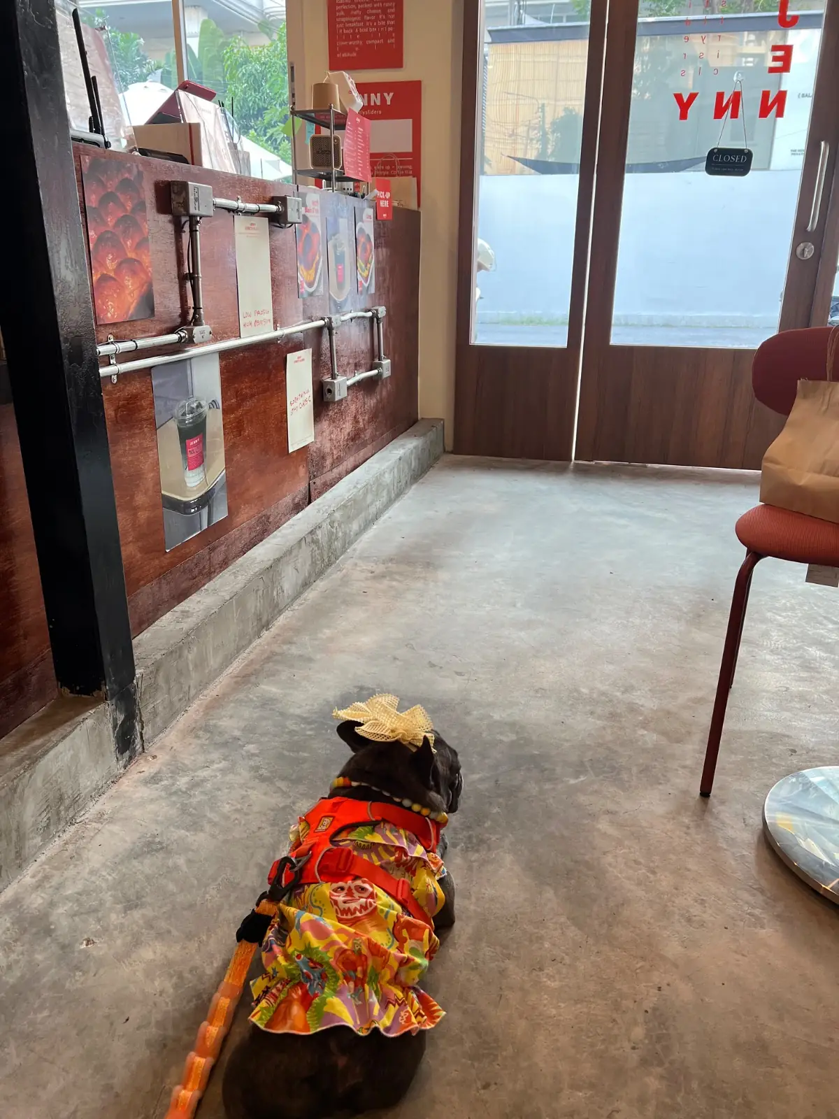 Jenny Strictly Sliders ambiance image 1