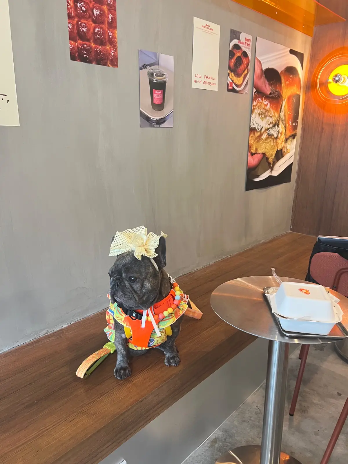 Jenny Strictly Sliders pets image 3