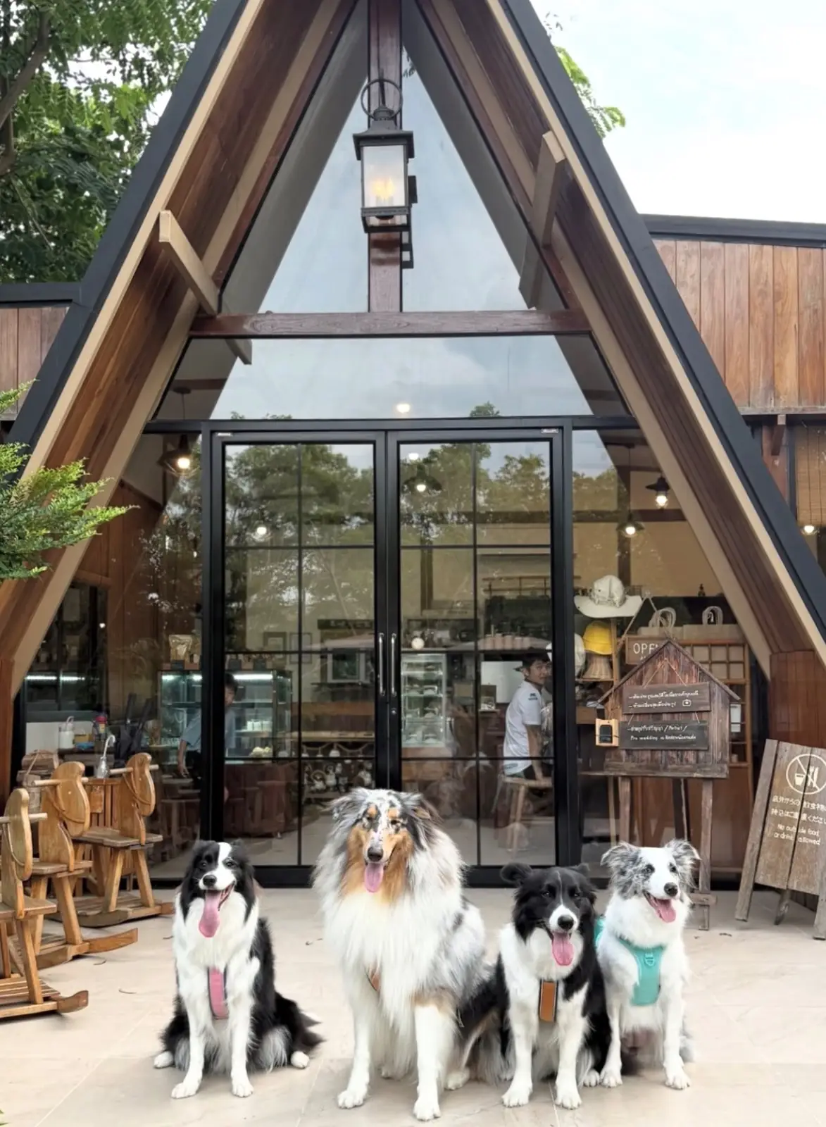 Three iconic pets image 1