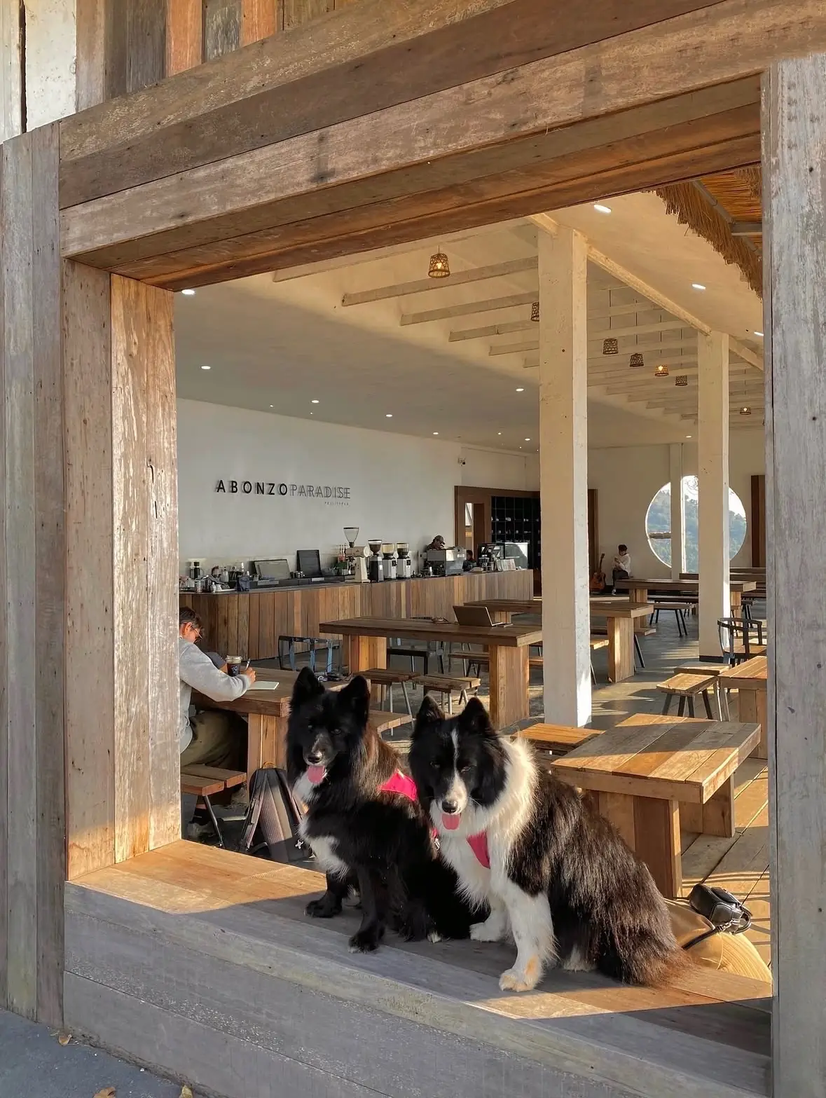 อะบอนโซ พาราไดซ์ pets image 3