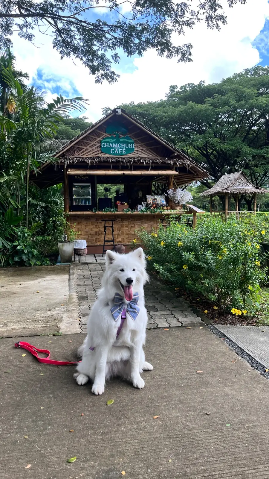จามจุรีคาเฟ่ - บ่อแสนวิลล่า overall image 1