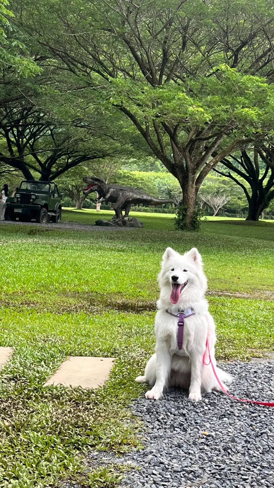 จามจุรีคาเฟ่ - บ่อแสนวิลล่า pets image 1