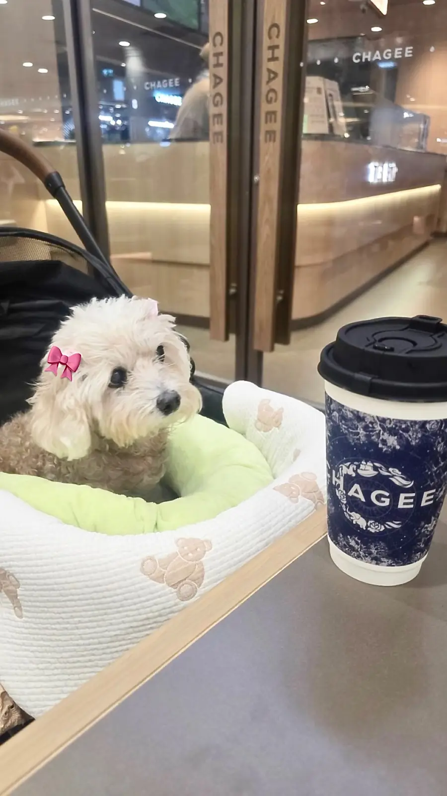 The Promenade pets image 1