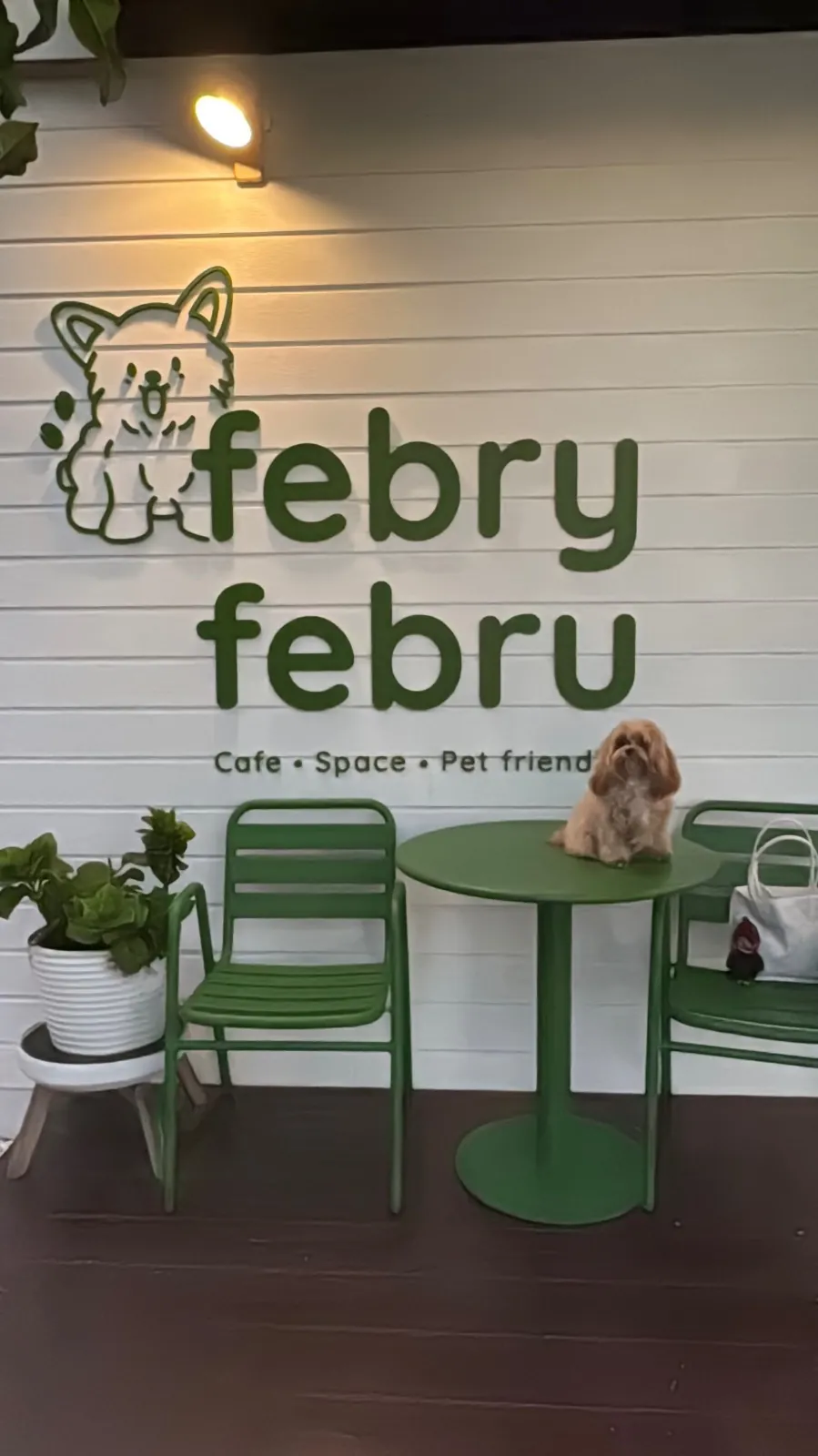 Febry Febru pets image 3