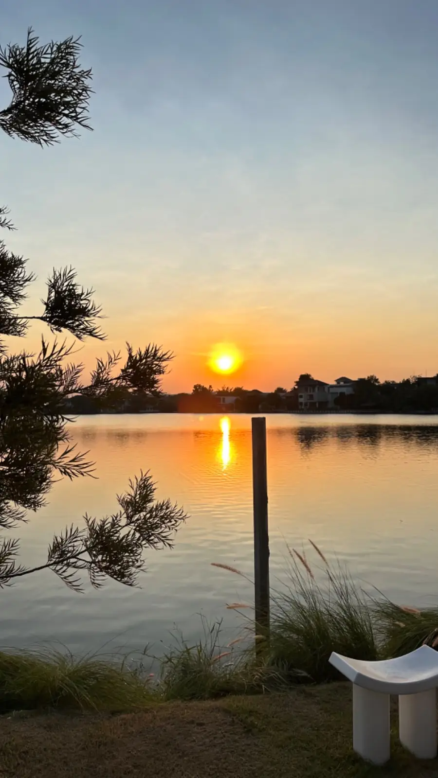 febry febru overall image 1