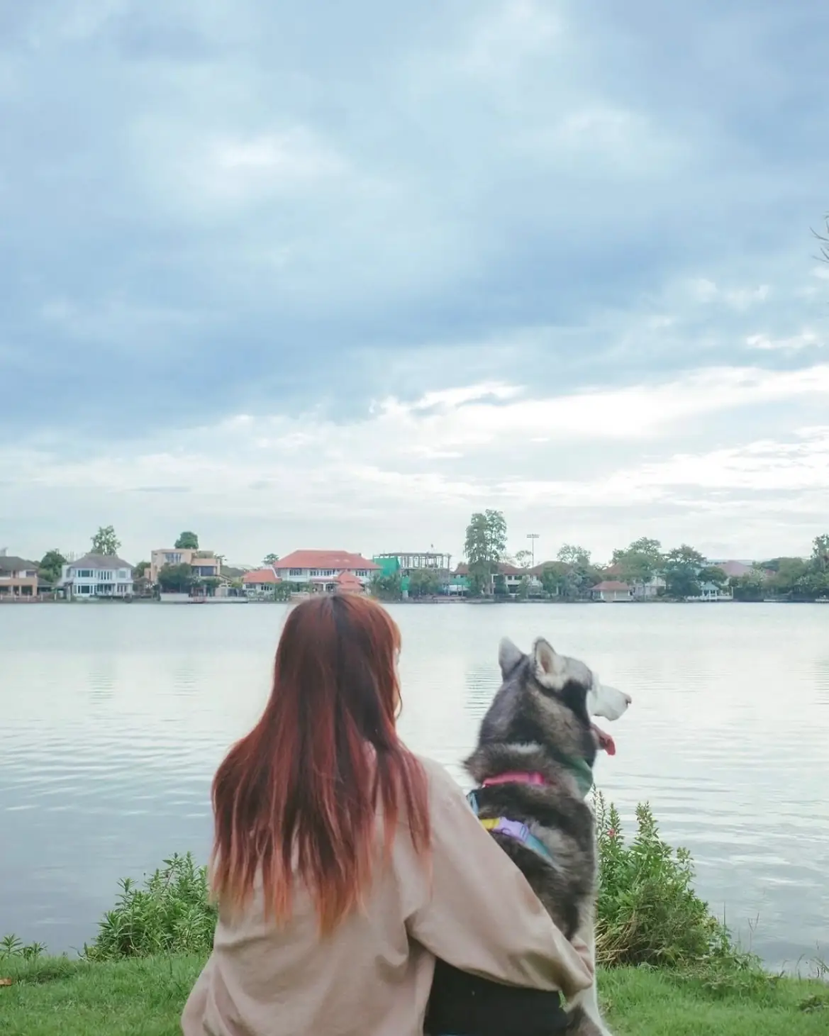 febry febru pets image 6