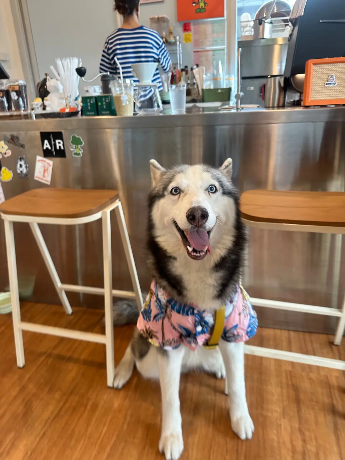 Broccoli Coffee - Sanamban Nam pets image 1