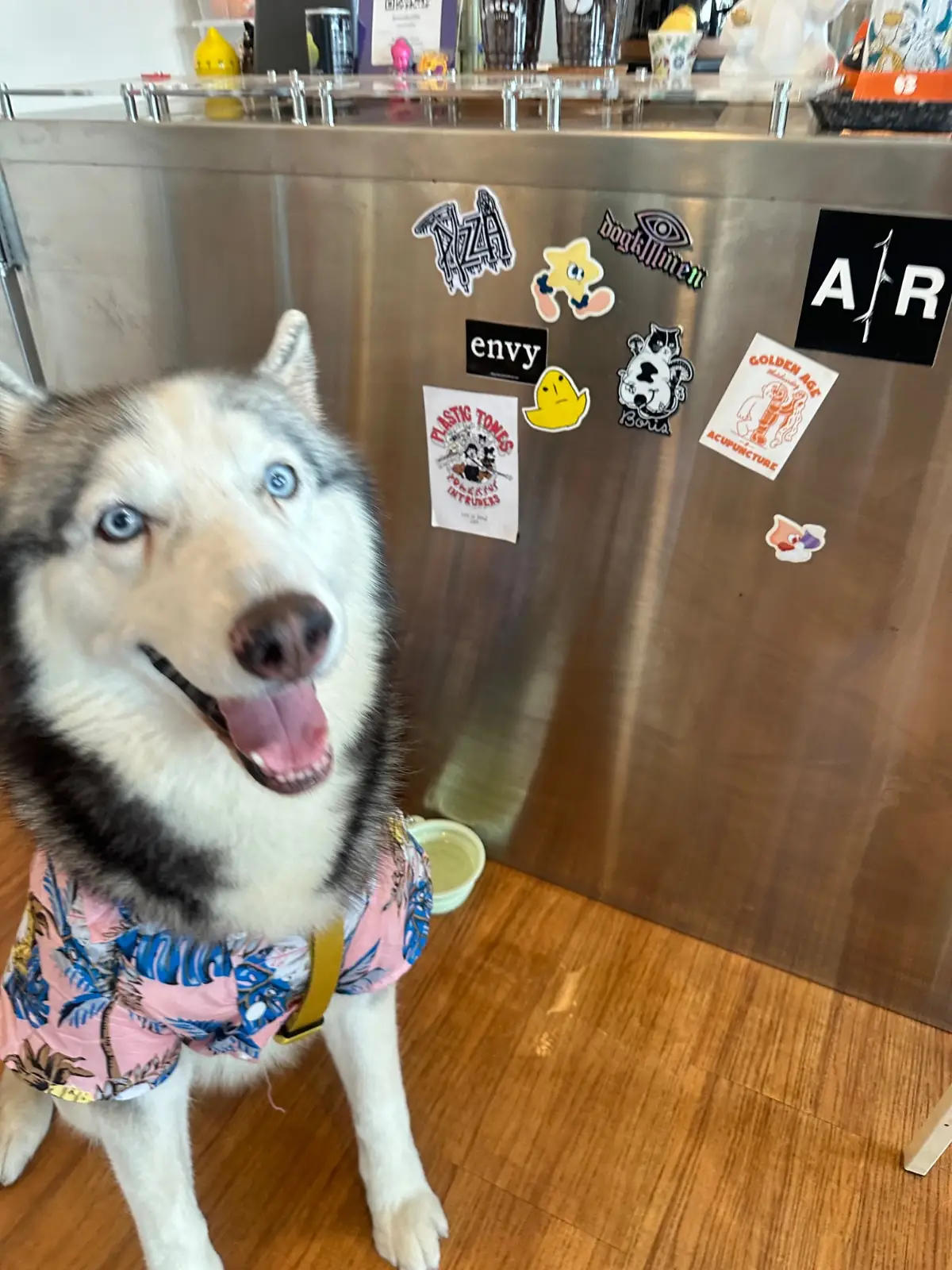 Broccoli Coffee - Sanamban Nam pets image 2