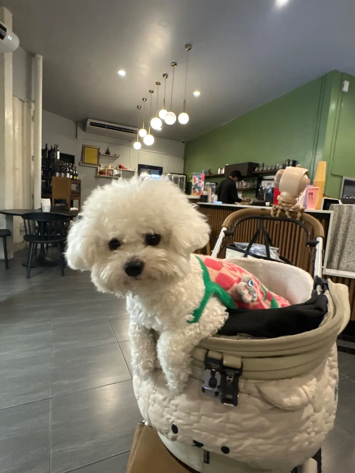 Gimmick Cafe & Restaurant pets image 2