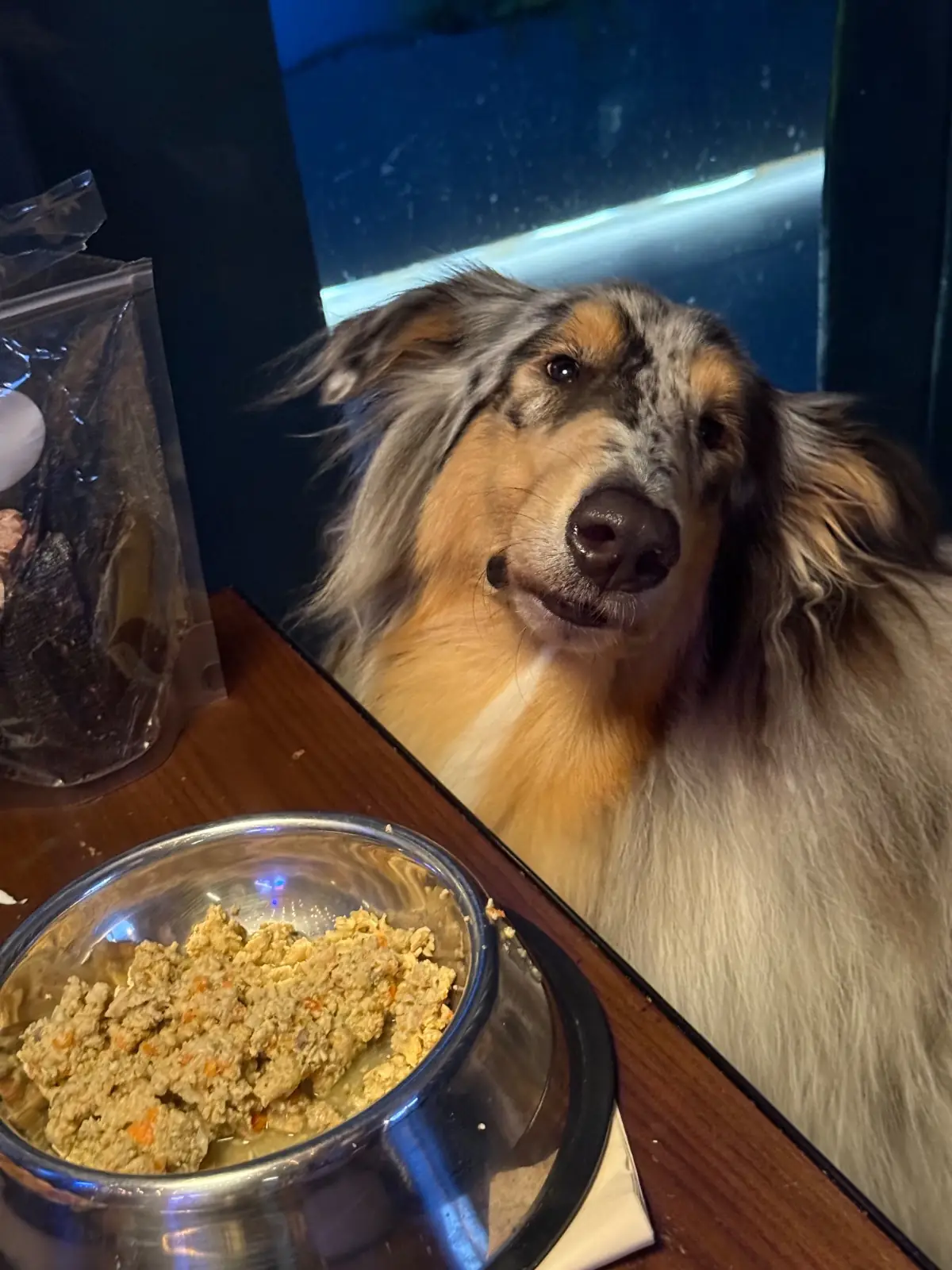 BrewDog other image 2