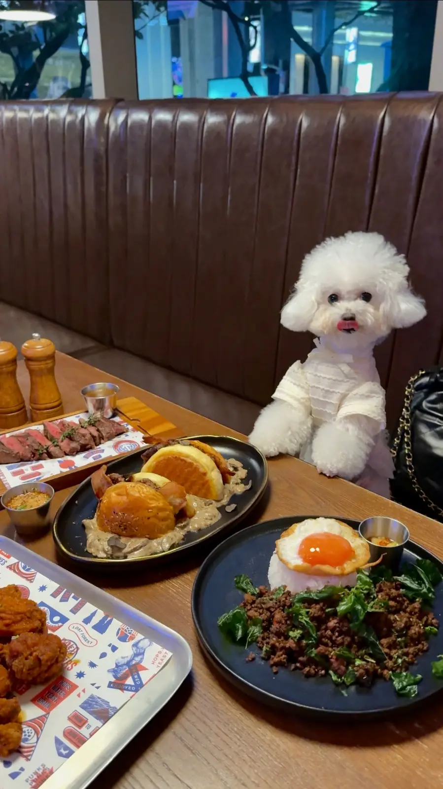 BrewDog - Pleonchit hero image 2