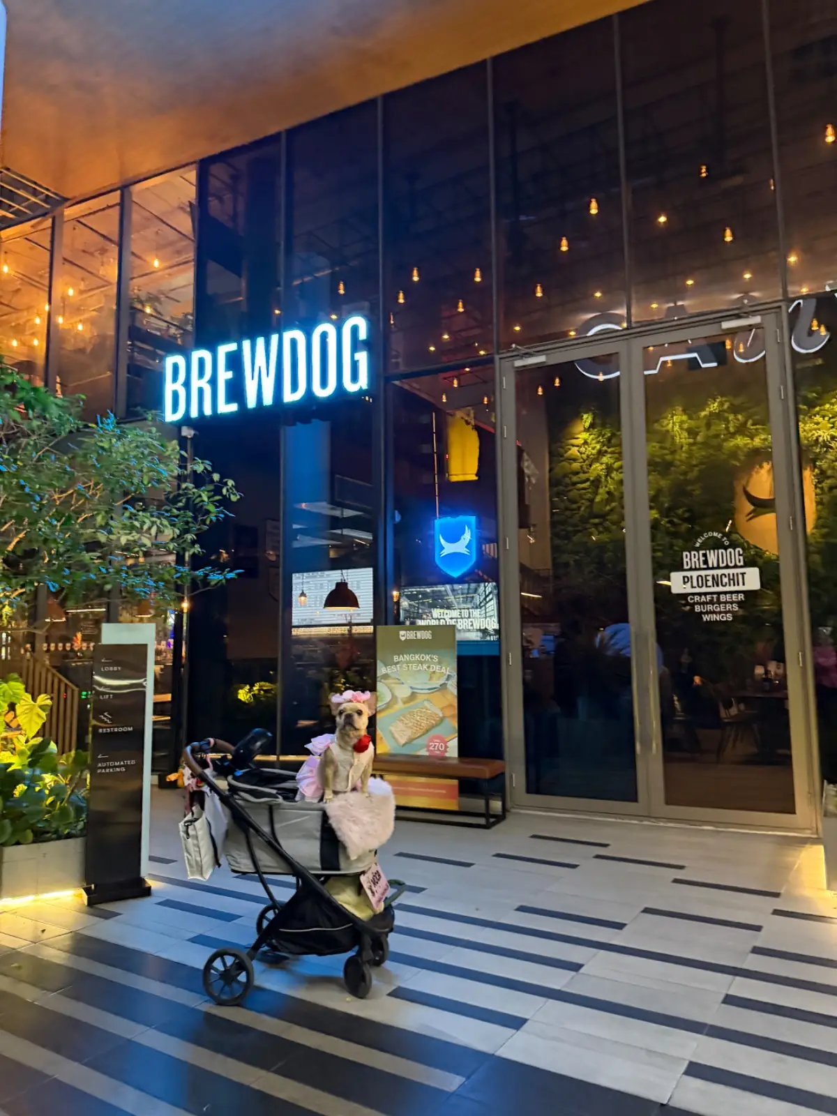 BrewDog overall image 2