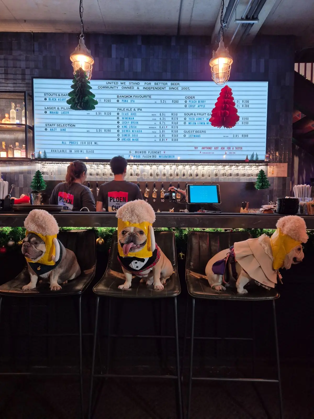 BrewDog pets image 12