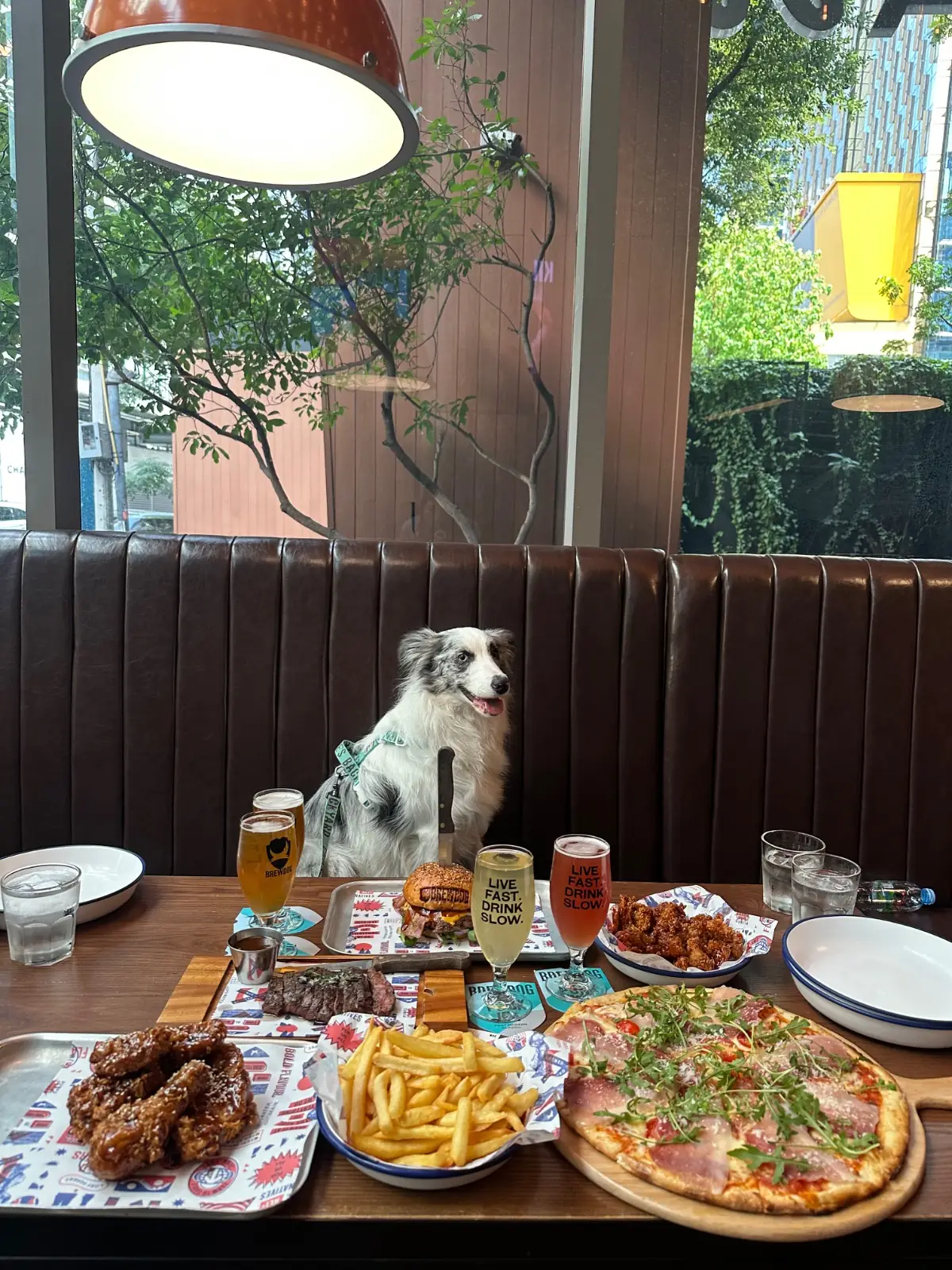 BrewDog pets image 11