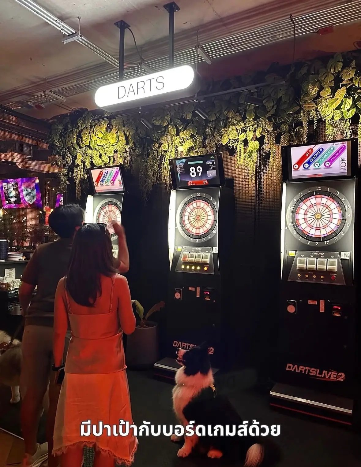 BrewDog pets image 2