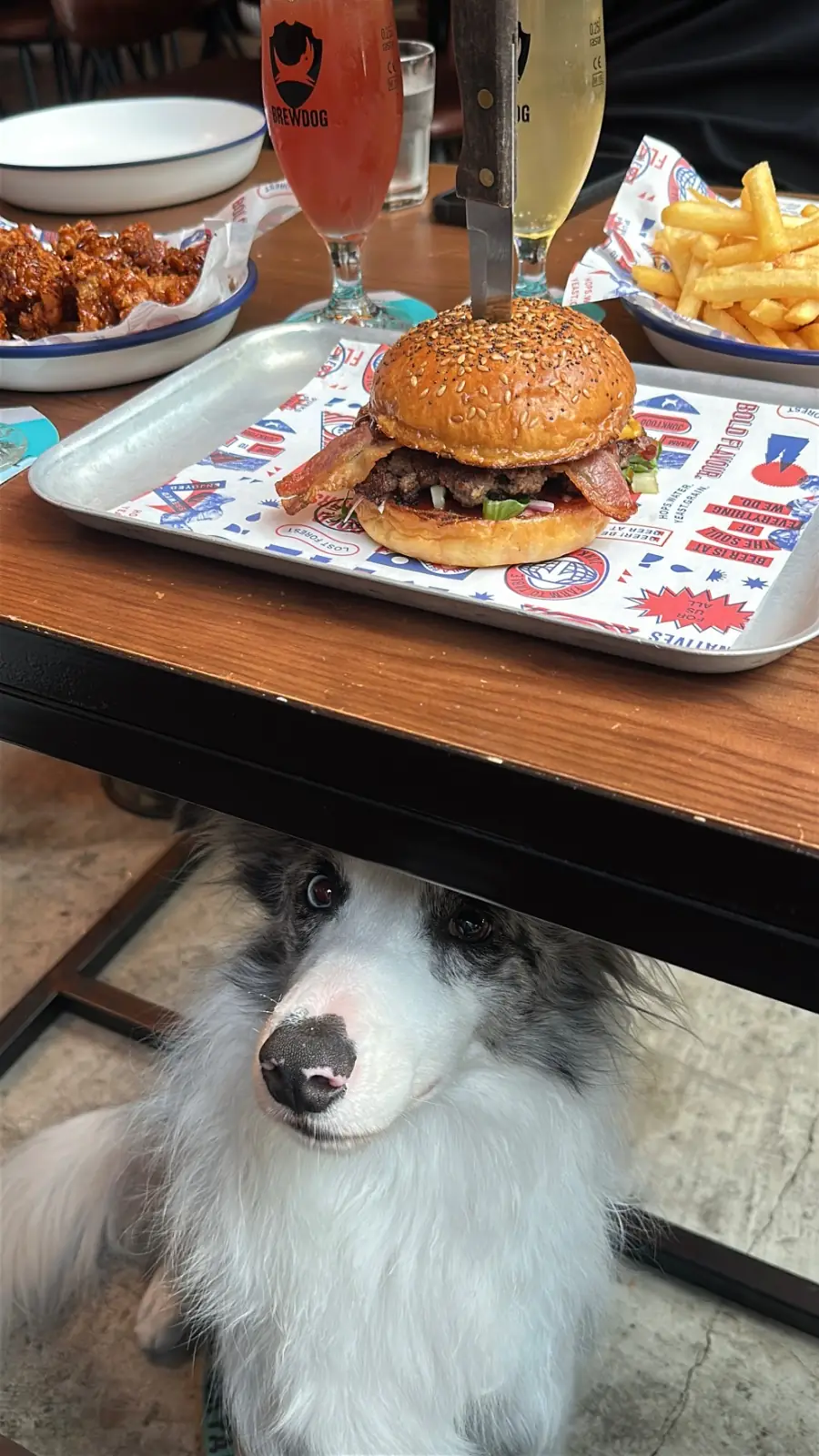 BrewDog pets image 18