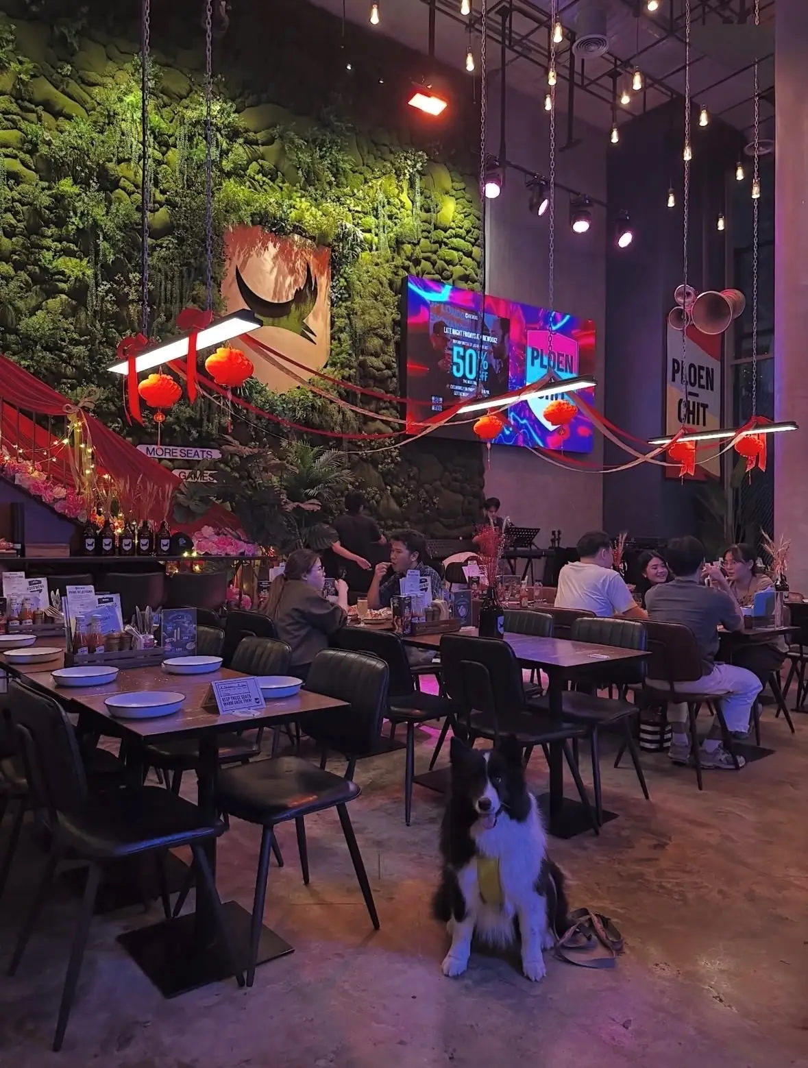 BrewDog pets image 6