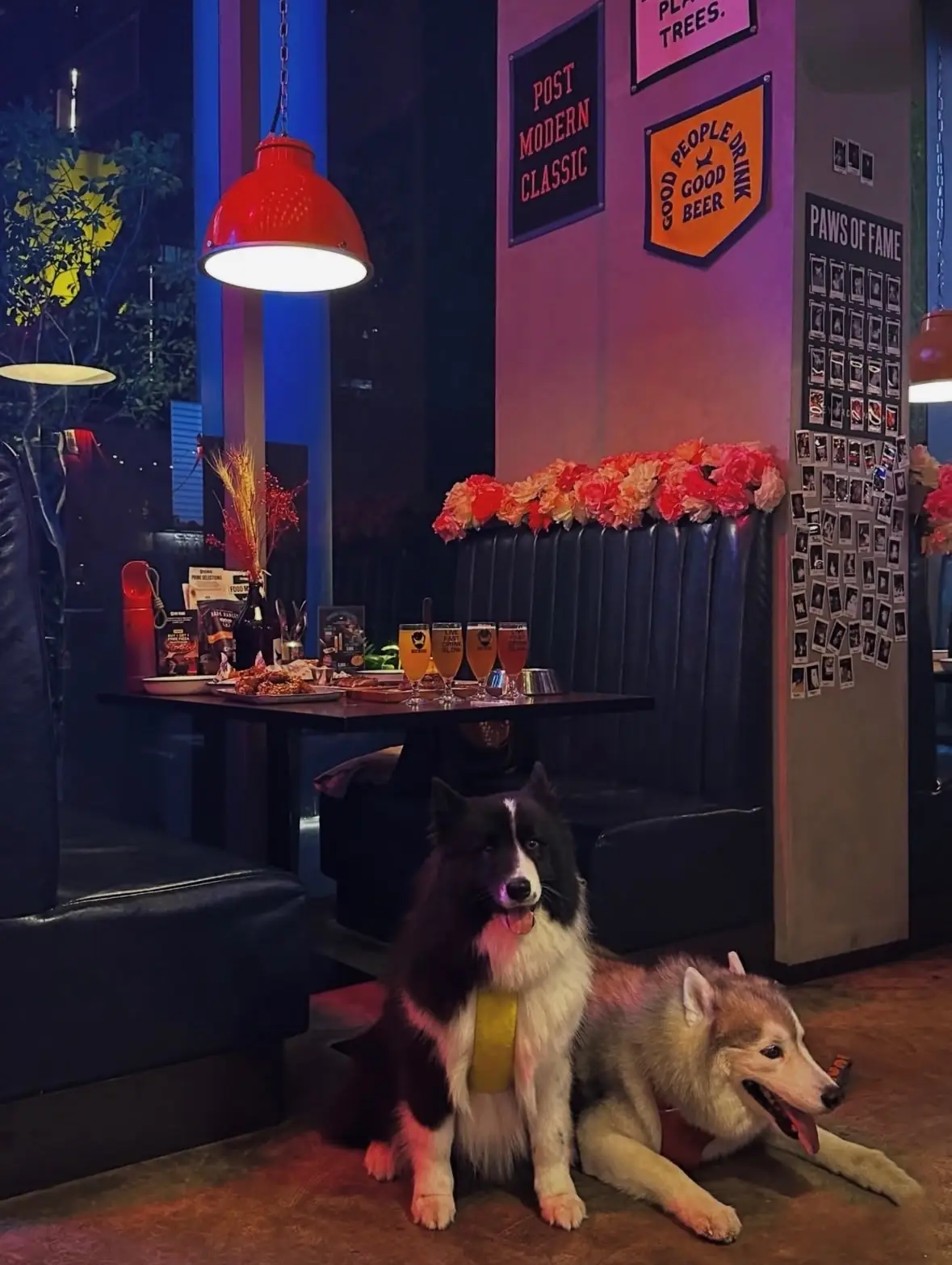 BrewDog pets image 5