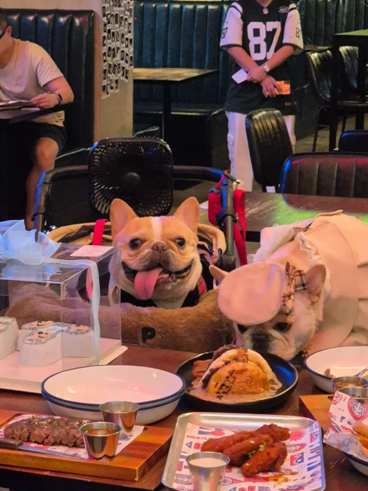 BrewDog pets image 13