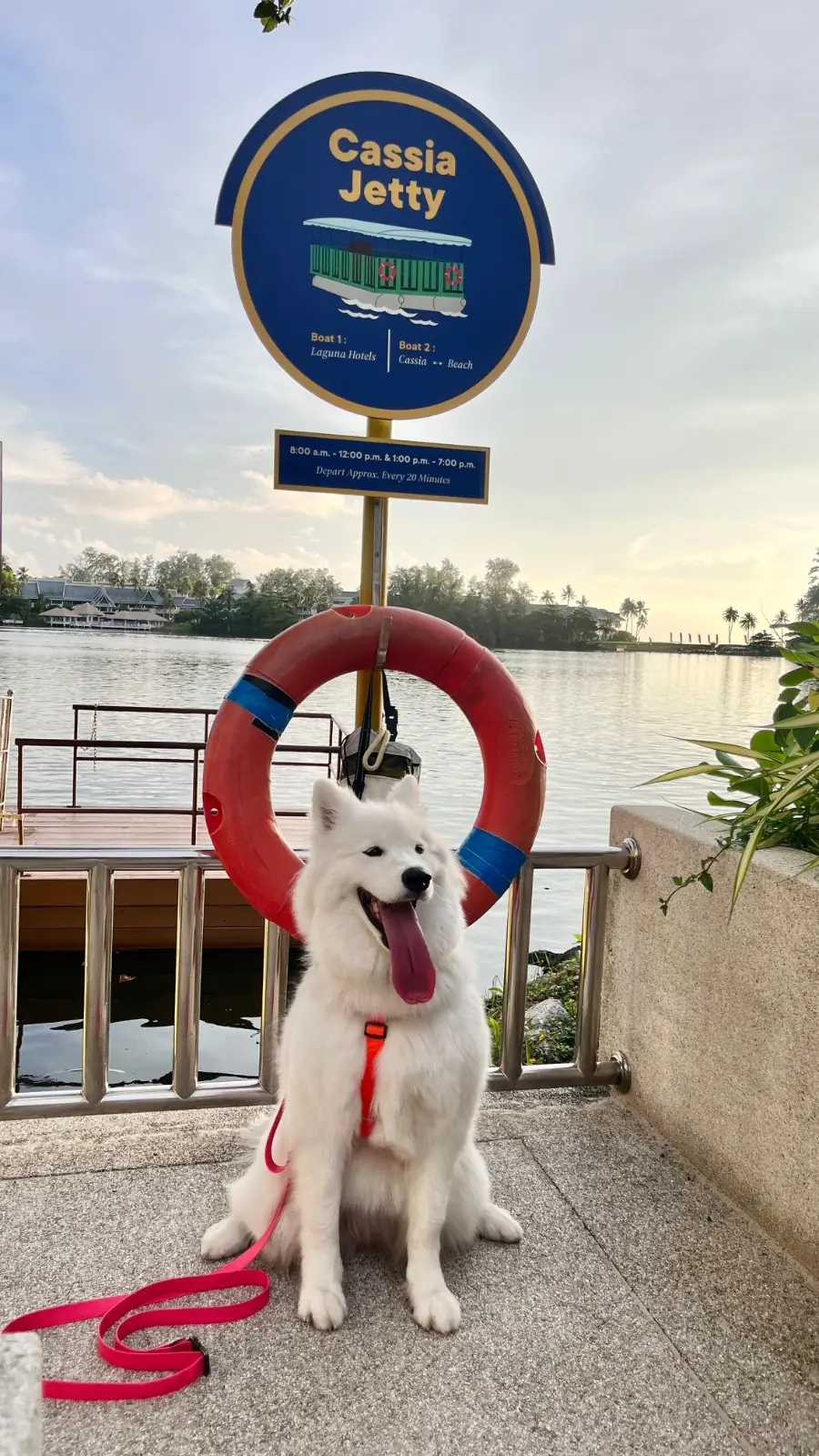 Cassia Phuket pets image 3