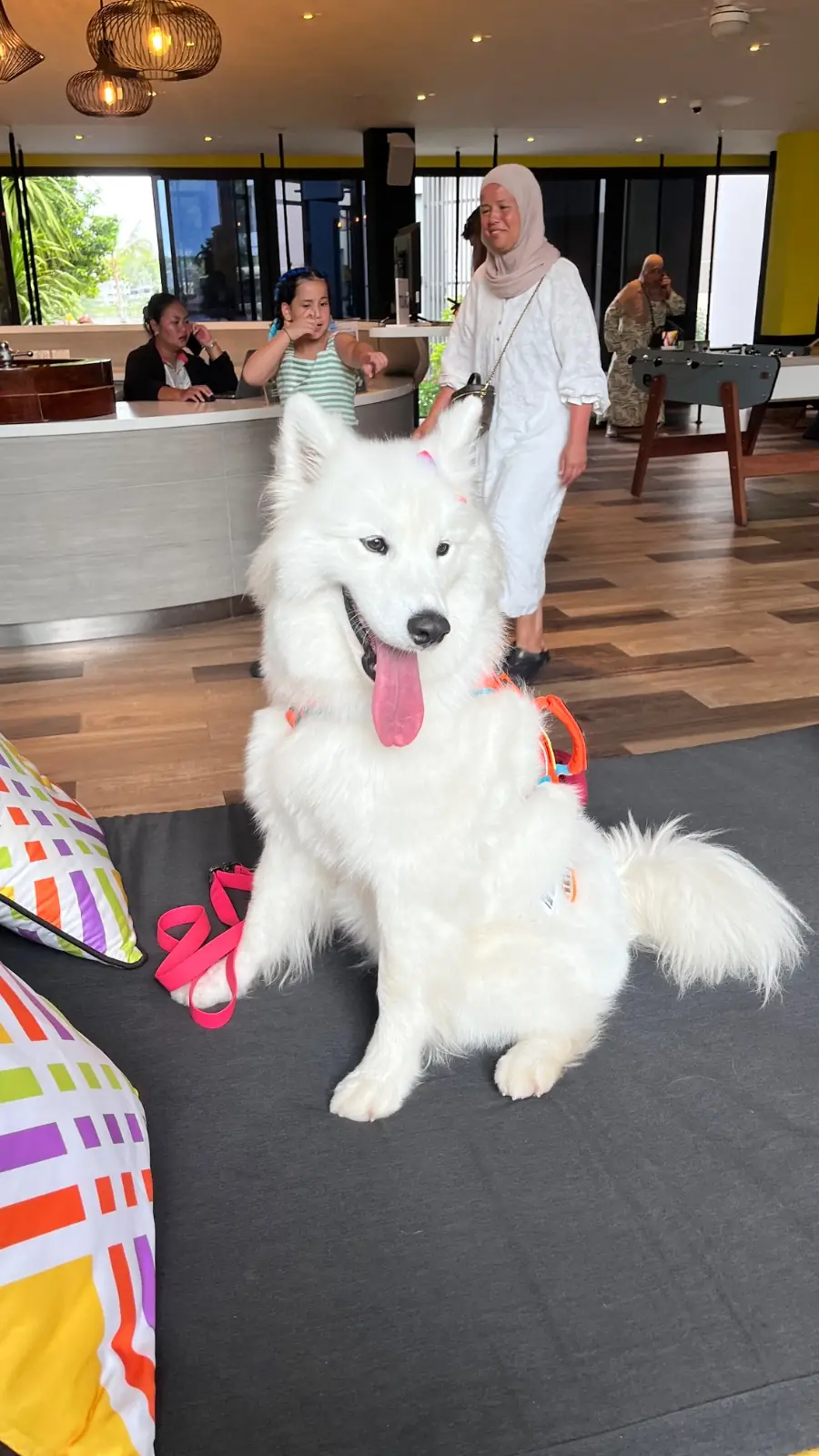 Cassia Phuket pets image 5