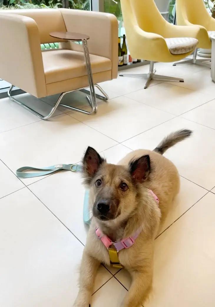 PPAL overall image 2