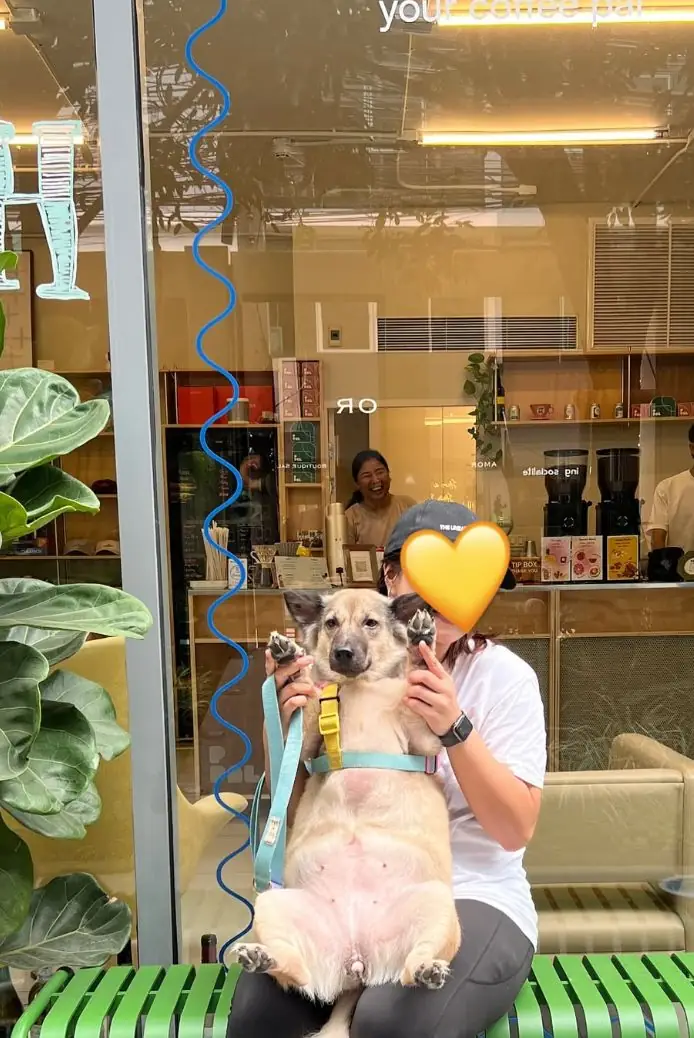 PPAL overall image 1