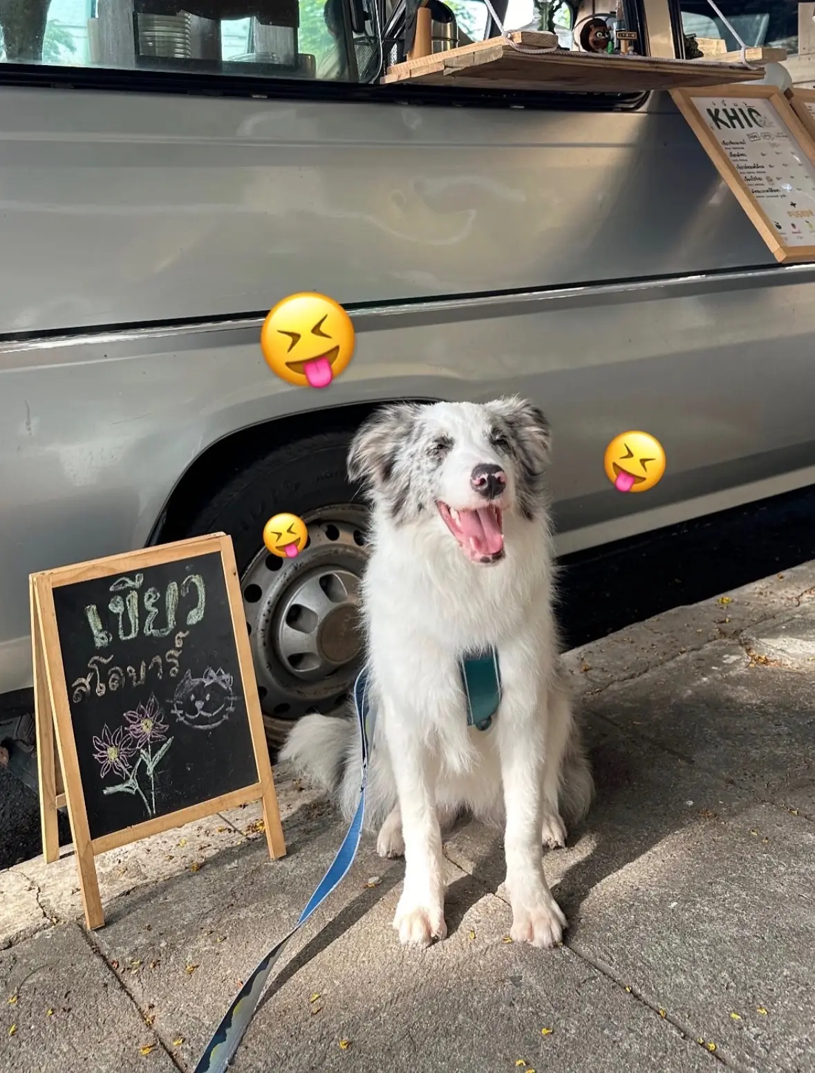 KHIO slow bar (เขียวสโลบาร์) pets image 1