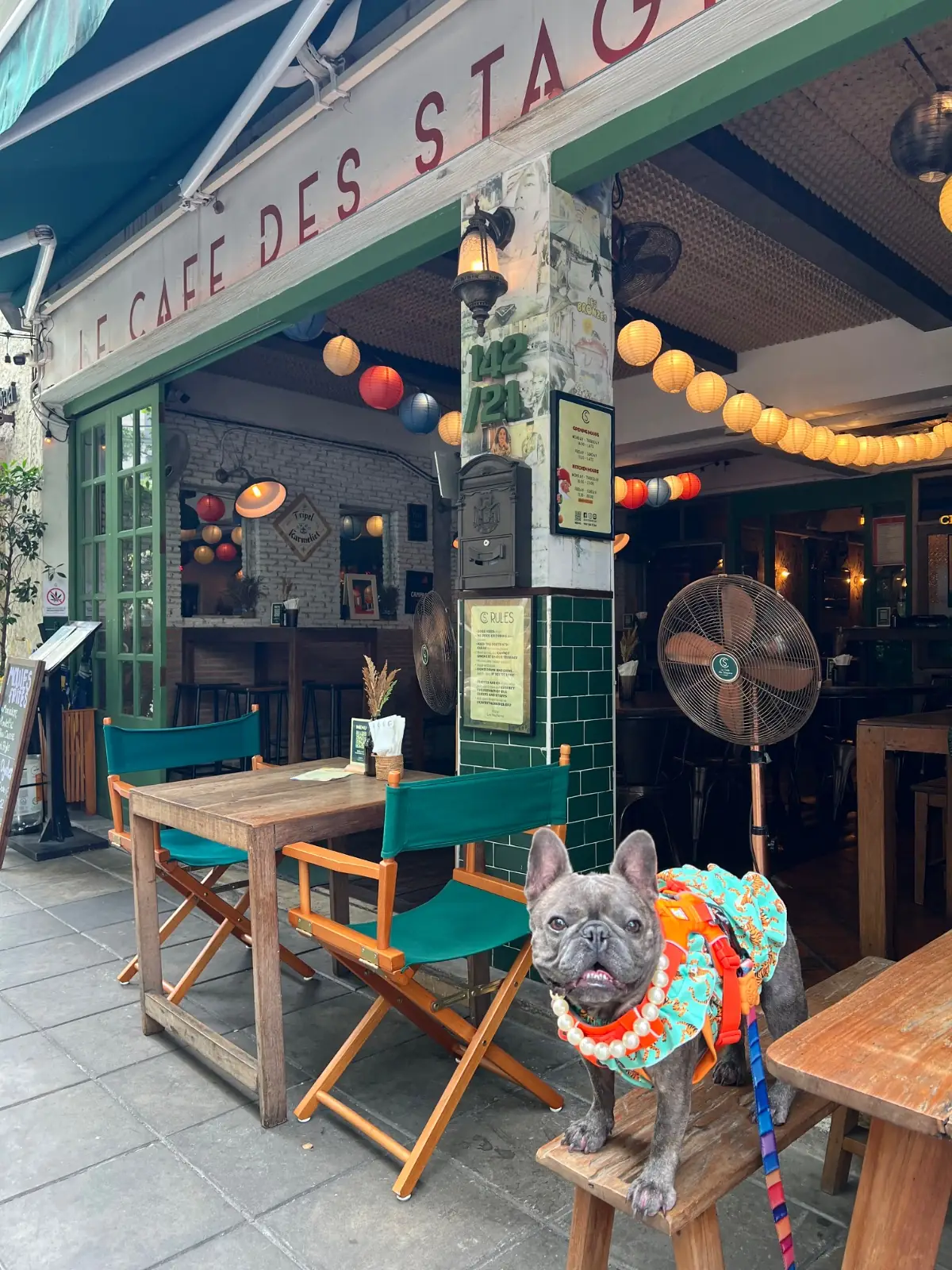 Le Café des Stagiaires pets image 5