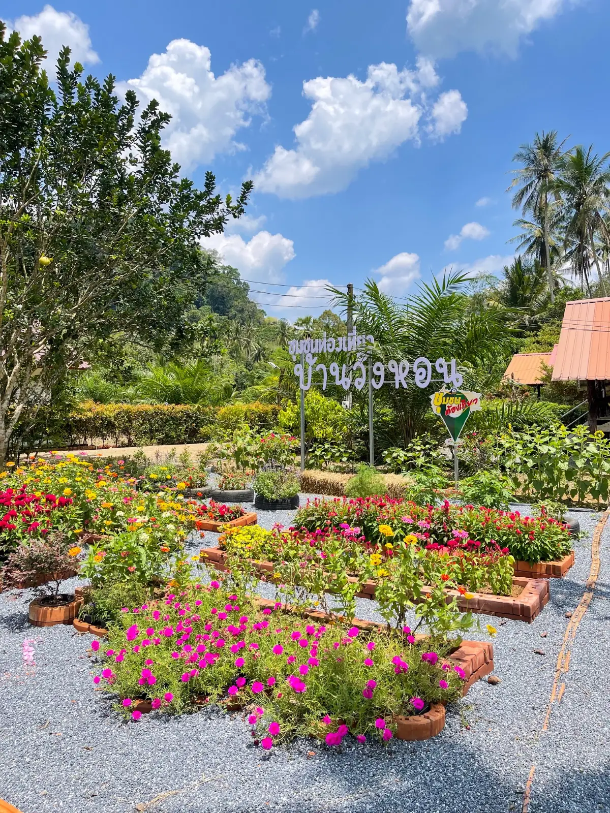 ล่องแพบ้านวังหอน Wanghon Bamboo Rafts amenities image 1