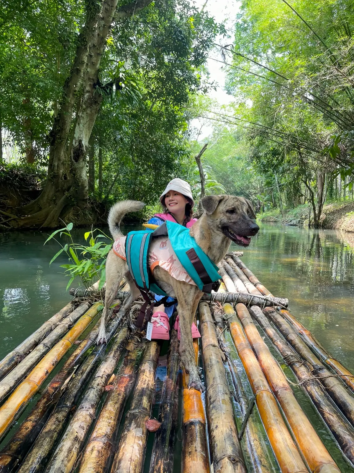 ล่องแพบ้านวังหอน Wanghon Bamboo Rafts pets image 1