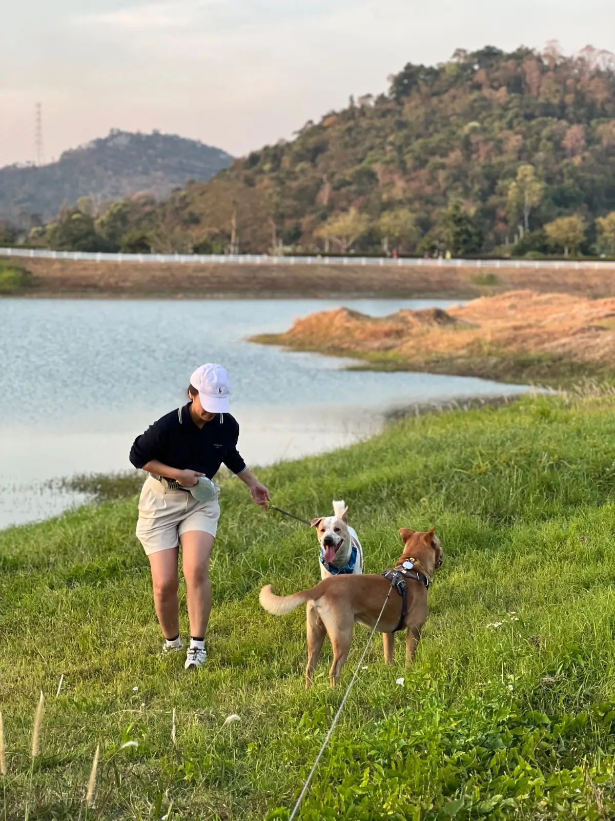 วิสดอม วัลเล่ย์ pets image 4