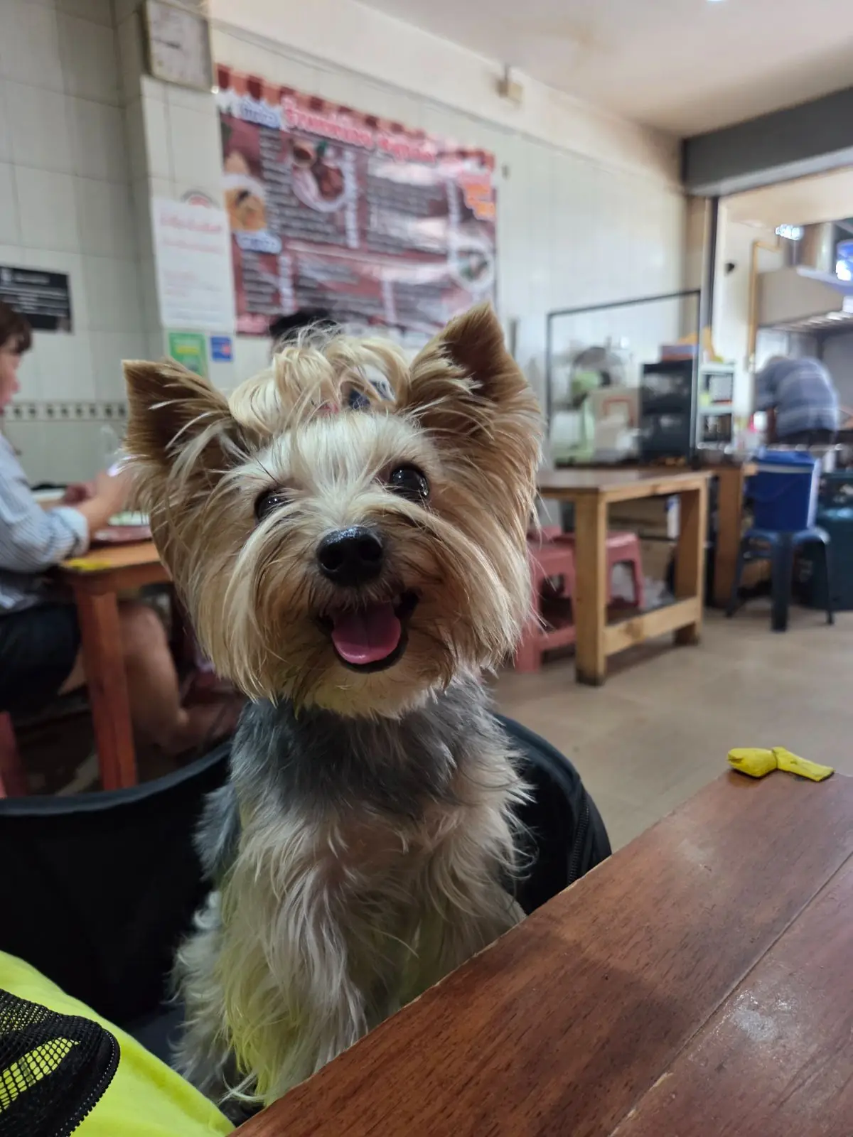 ร้านแม่น้อยหมูทอด pets image 1