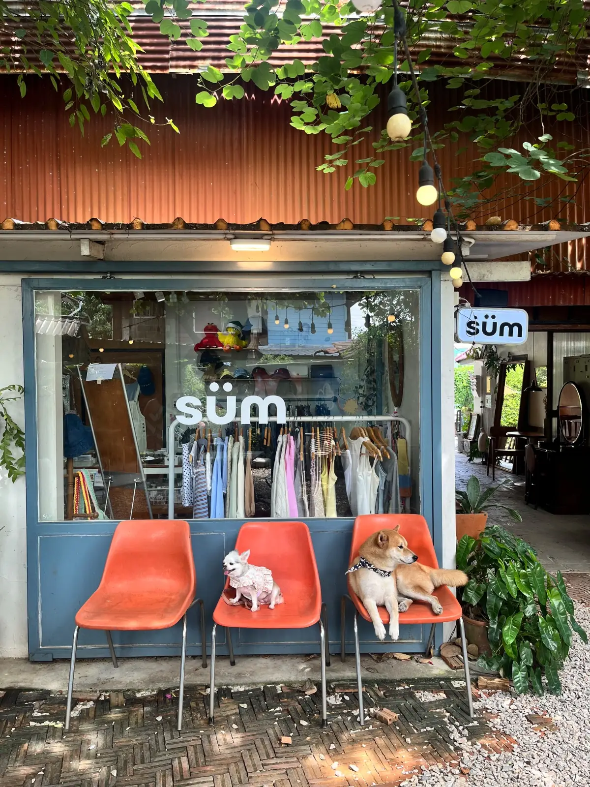 GIVEN.GIVEN.GIVEN ambiance image 2