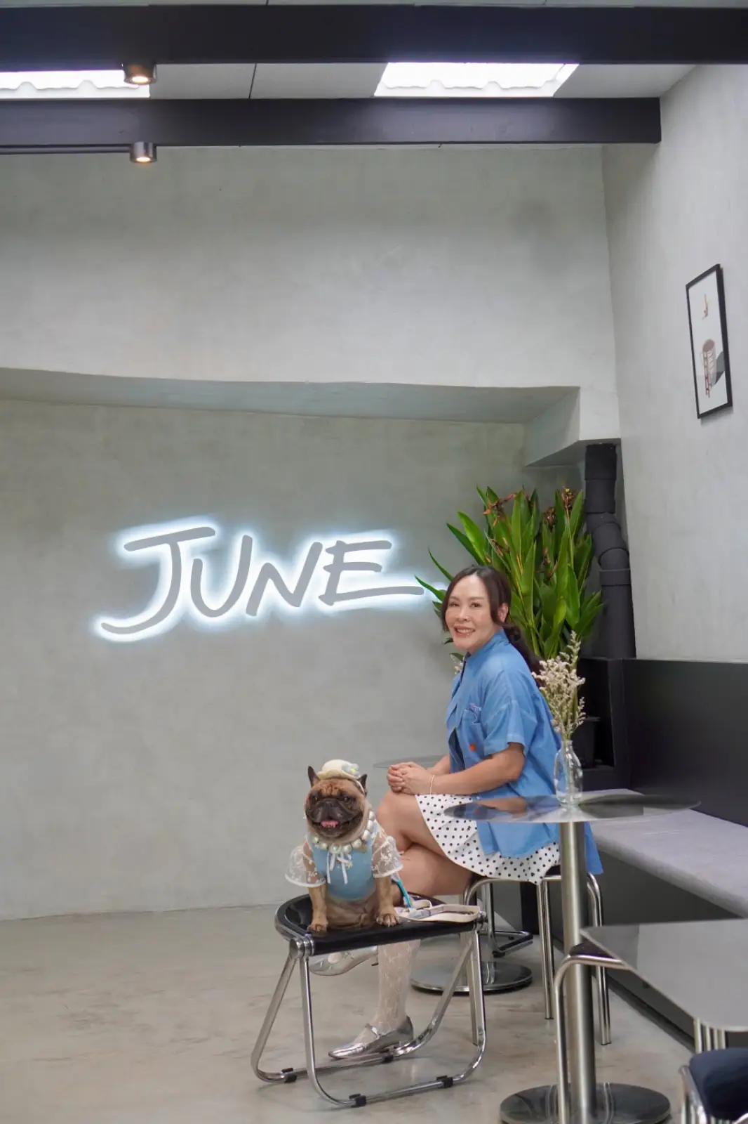 June pets image 3